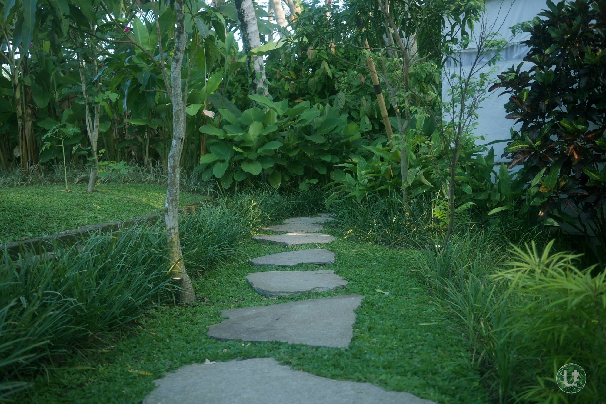 Ubud Tropical Ngoại thất bức ảnh