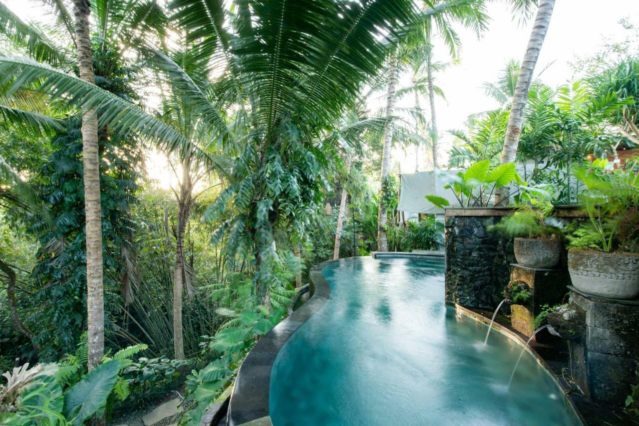 Ubud Tropical Ngoại thất bức ảnh