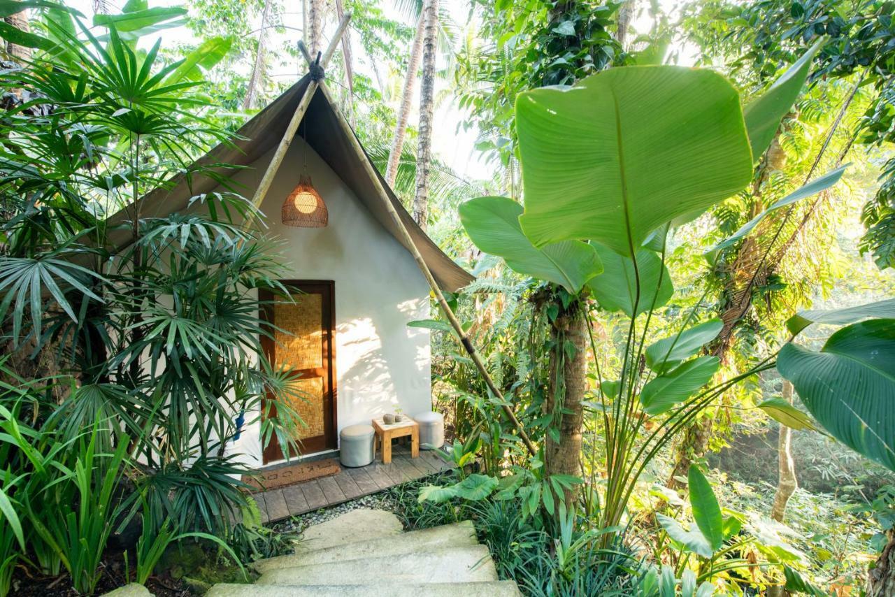 Ubud Tropical Ngoại thất bức ảnh